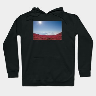 Alpen Panorama / Swiss Artwork Photography Hoodie